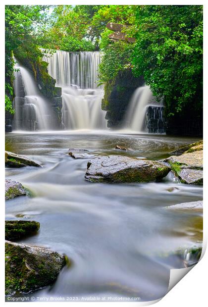 Penllergaer Waterfall Portrait format Print by Terry Brooks