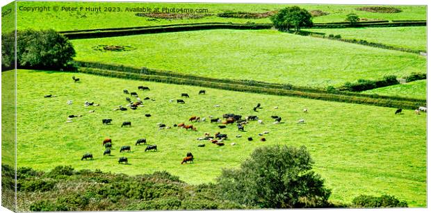 The Lush Green Fields Of Rural Devon Canvas Print by Peter F Hunt