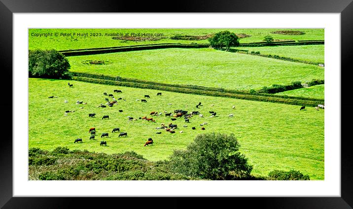 The Lush Green Fields Of Rural Devon Framed Mounted Print by Peter F Hunt