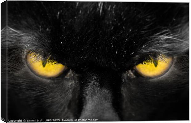 Beautiful black cat face with amber eyes close up Canvas Print by Simon Bratt LRPS