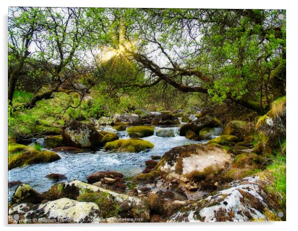 Dartmoor Stream Acrylic by Stephen Hamer
