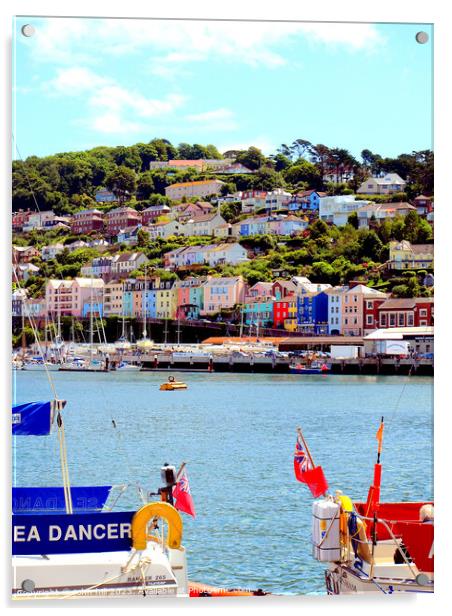 Vivid Kingswear: A Dartmouth River Perspective Acrylic by john hill