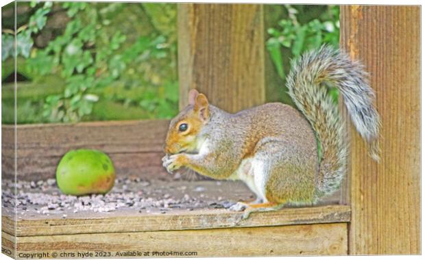 Squirrel Eating Nuts on Table Canvas Print by chris hyde