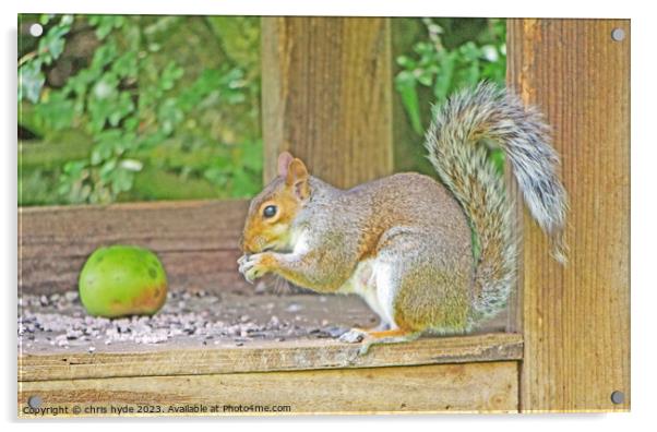 Squirrel Eating Nuts on Table Acrylic by chris hyde