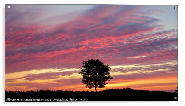 tree silhouette sunrise Acrylic by Simon Johnson