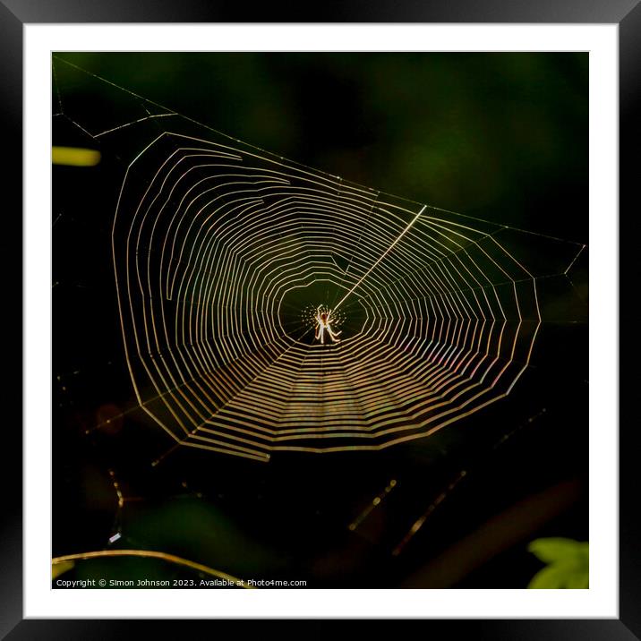 cobweb with spider Framed Mounted Print by Simon Johnson
