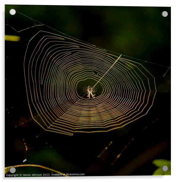 cobweb with spider Acrylic by Simon Johnson