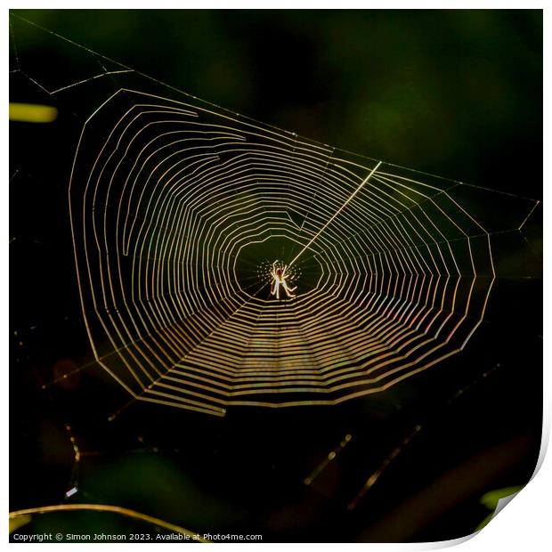 cobweb with spider Print by Simon Johnson