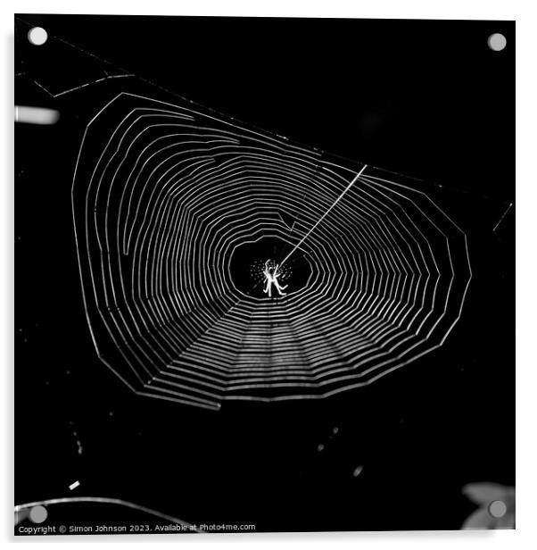 sunlit cobweb with spider Acrylic by Simon Johnson