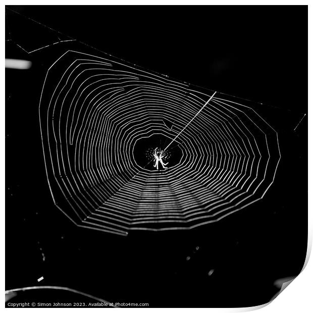 sunlit cobweb with spider Print by Simon Johnson