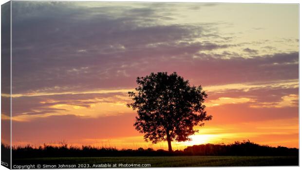 Tree silhouette Sunrise Canvas Print by Simon Johnson