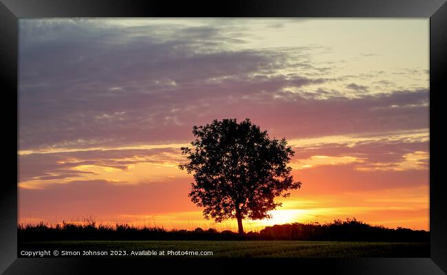 Tree silhouette Sunrise Framed Print by Simon Johnson