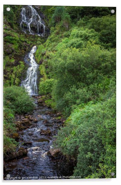 Assaranca's Magnificent Cascade, Donegal Acrylic by jim Hamilton