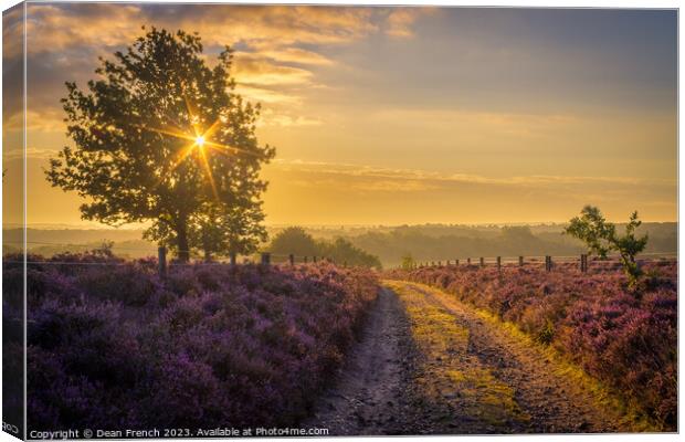 Sunrise At Roydon Common Canvas Print by Dean French