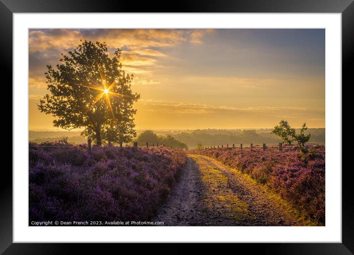 Sunrise At Roydon Common Framed Mounted Print by Dean French