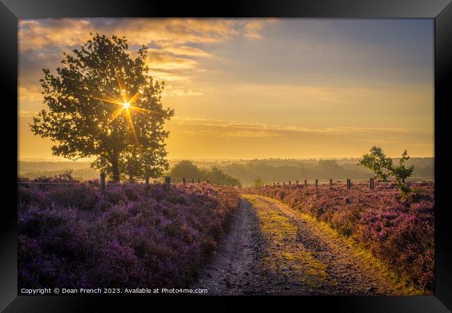 Sunrise At Roydon Common Framed Print by Dean French