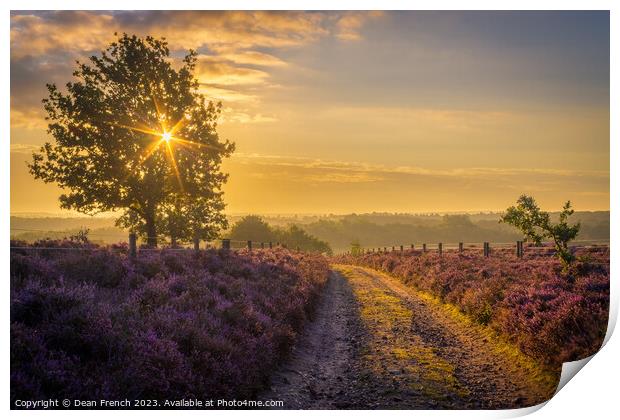 Sunrise At Roydon Common Print by Dean French