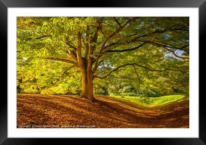 Autumn At Anglesey Abbey Framed Mounted Print by Dean French