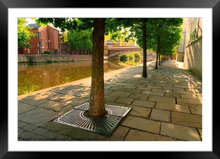 Leeds River Aire Sunrise Framed Mounted Print by Alison Chambers
