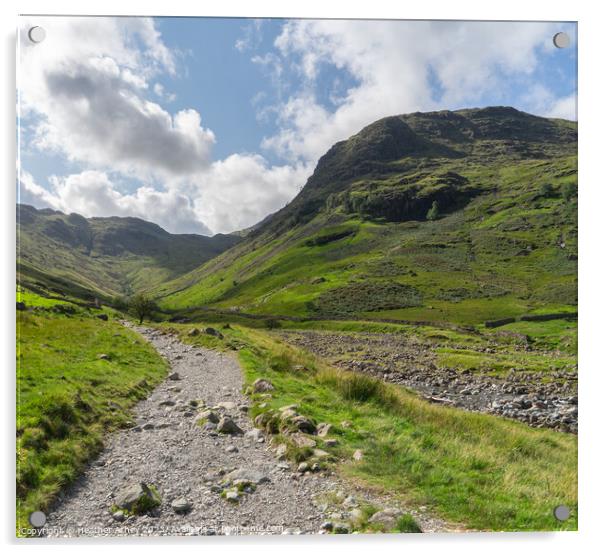 Seathwaite Fell Cumbria Acrylic by Heather Athey