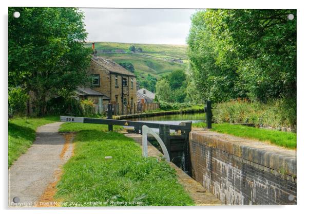 Huddersfield Narrow Canal  Acrylic by Diana Mower
