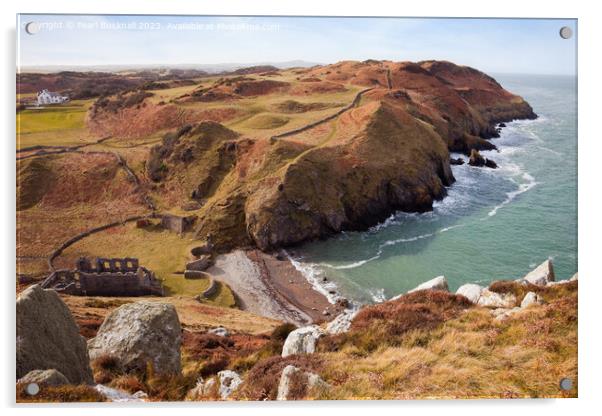 Rocky Coastline Anglesey Wales Acrylic by Pearl Bucknall
