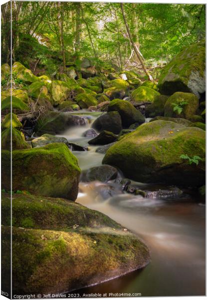Padley Gorge's Serene Waterscape Canvas Print by Jeff Davies