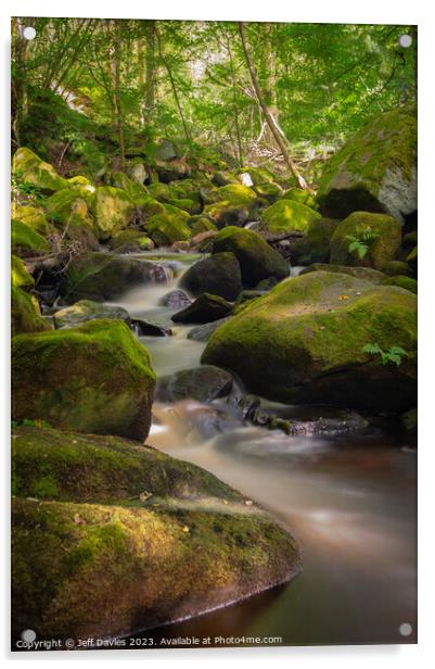 Padley Gorge's Serene Waterscape Acrylic by Jeff Davies