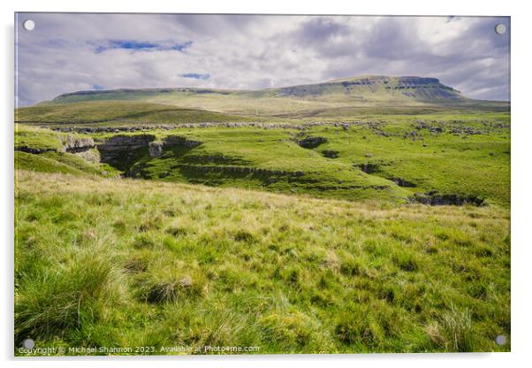 Breathtaking Panorama of Yorkshire's Penyghent Acrylic by Michael Shannon
