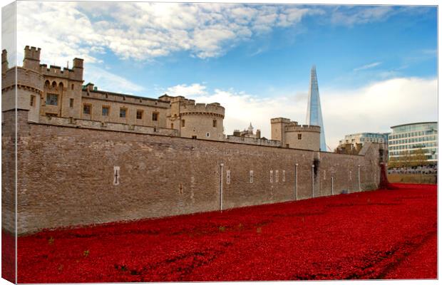 Blood-Red Poppies: Tower of London's Tribute Canvas Print by Andy Evans Photos