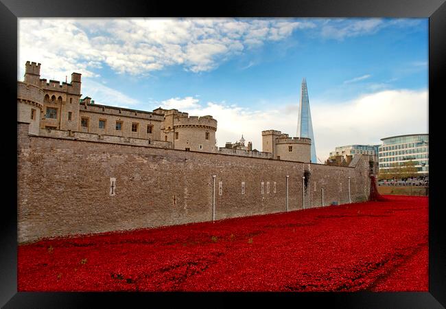 Blood-Red Poppies: Tower of London's Tribute Framed Print by Andy Evans Photos