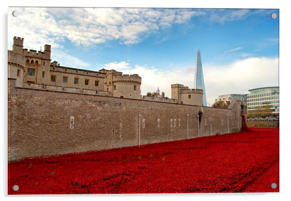 Blood-Red Poppies: Tower of London's Tribute Acrylic by Andy Evans Photos