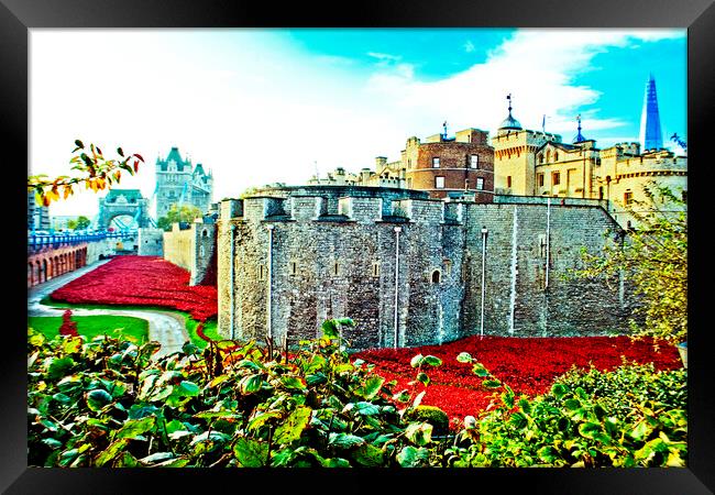Blood-Swept Seas: London's Tower Poppy Tribute Framed Print by Andy Evans Photos