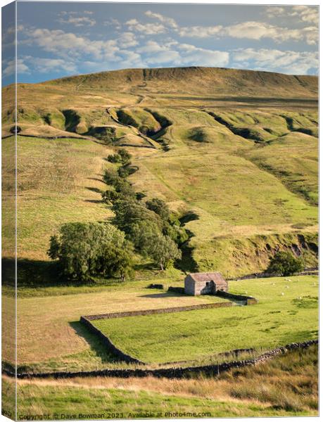 Life in the Yorkshire Dales Canvas Print by Dave Bowman