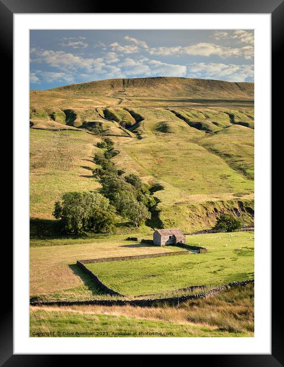 Life in the Yorkshire Dales Framed Mounted Print by Dave Bowman