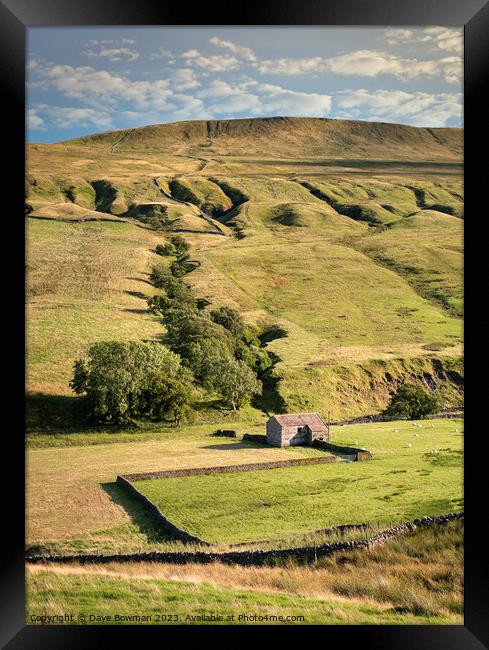 Life in the Yorkshire Dales Framed Print by Dave Bowman