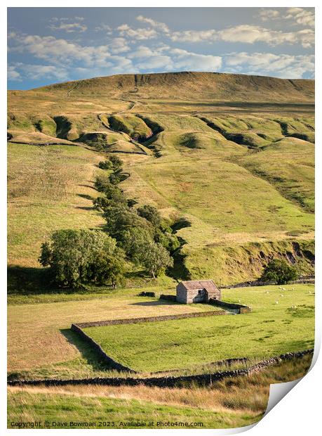 Life in the Yorkshire Dales Print by Dave Bowman