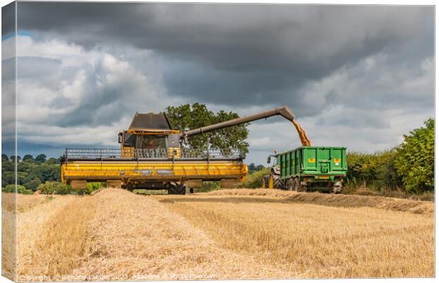 Wheat Harvest at Wycliffe Aug 2023 (4) Canvas Print by Richard Laidler