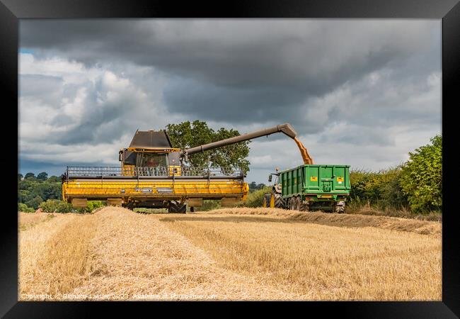 Wheat Harvest at Wycliffe Aug 2023 (4) Framed Print by Richard Laidler