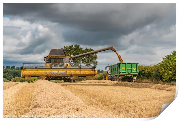 Wheat Harvest at Wycliffe Aug 2023 (4) Print by Richard Laidler