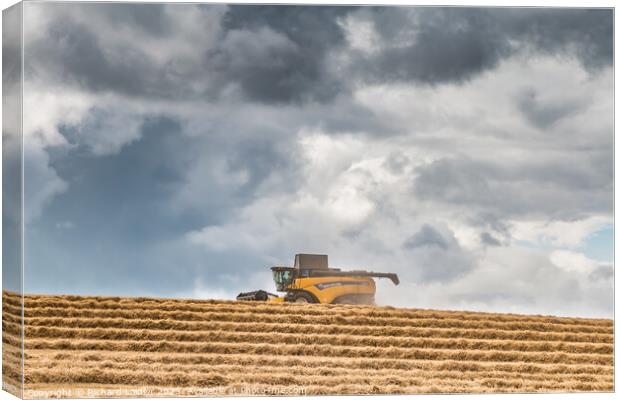 Wheat Harvest at Wycliffe Aug 2023 (5) Canvas Print by Richard Laidler