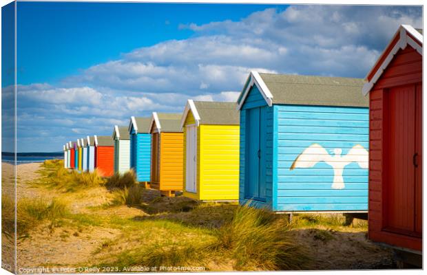 Beach Huts at Findhorn, Scotland Canvas Print by Peter O'Reilly
