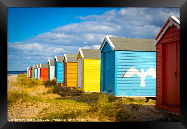 Beach Huts at Findhorn, Scotland Framed Print by Peter O'Reilly