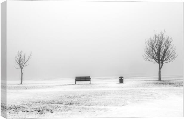 Seat and Snow Canvas Print by Darrell Evans
