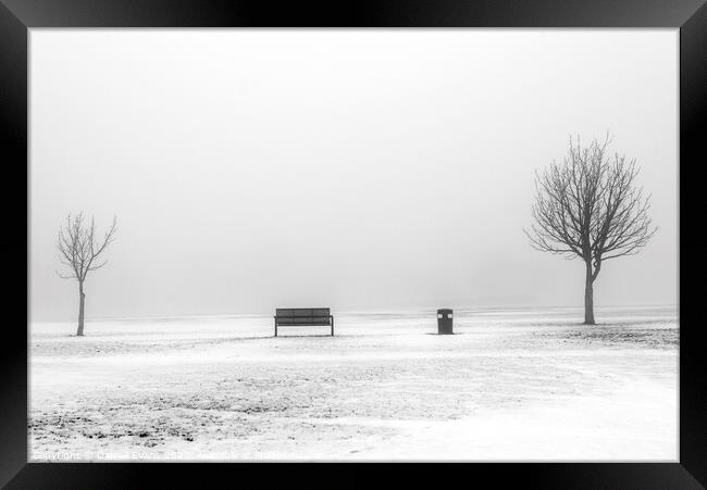 Seat and Snow Framed Print by Darrell Evans