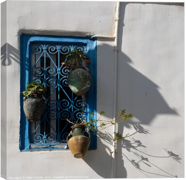 The Blue Window Canvas Print by Peter O'Reilly