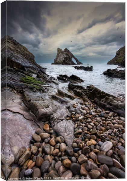 Bow Fiddle Rock, Portknockie, Moray Canvas Print by Peter O'Reilly