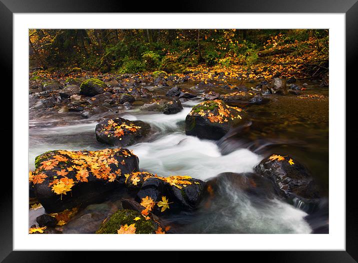 Autumn Passing Framed Mounted Print by Mike Dawson