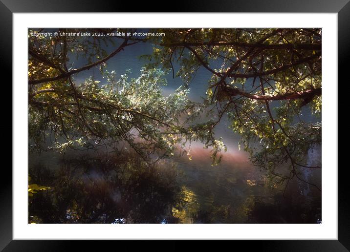 Reflections Of Nature Framed Mounted Print by Christine Lake