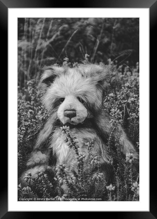 Teddy Bear in field of flowers Framed Mounted Print by Kirsty Barber